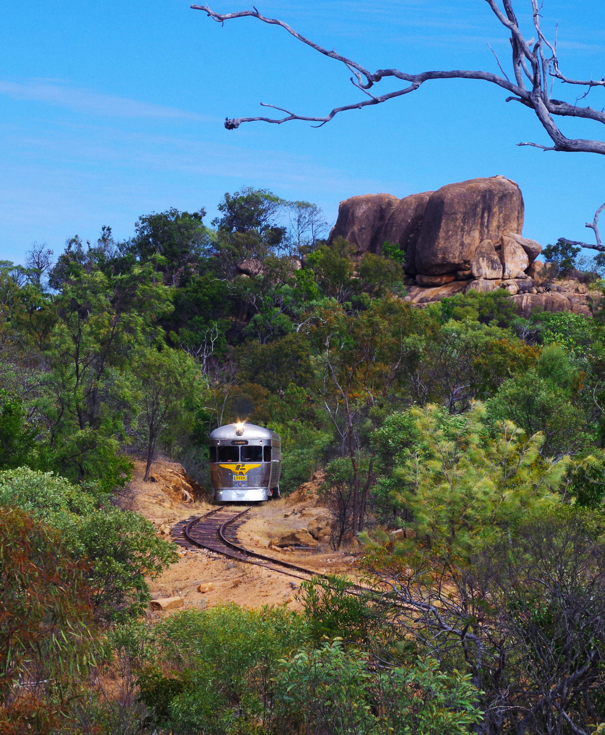 Queensland Savannah 2026