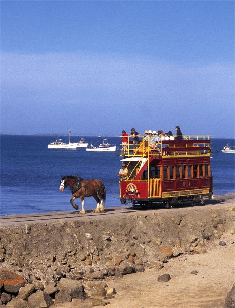 Horse drawn tram in Victor Harbour