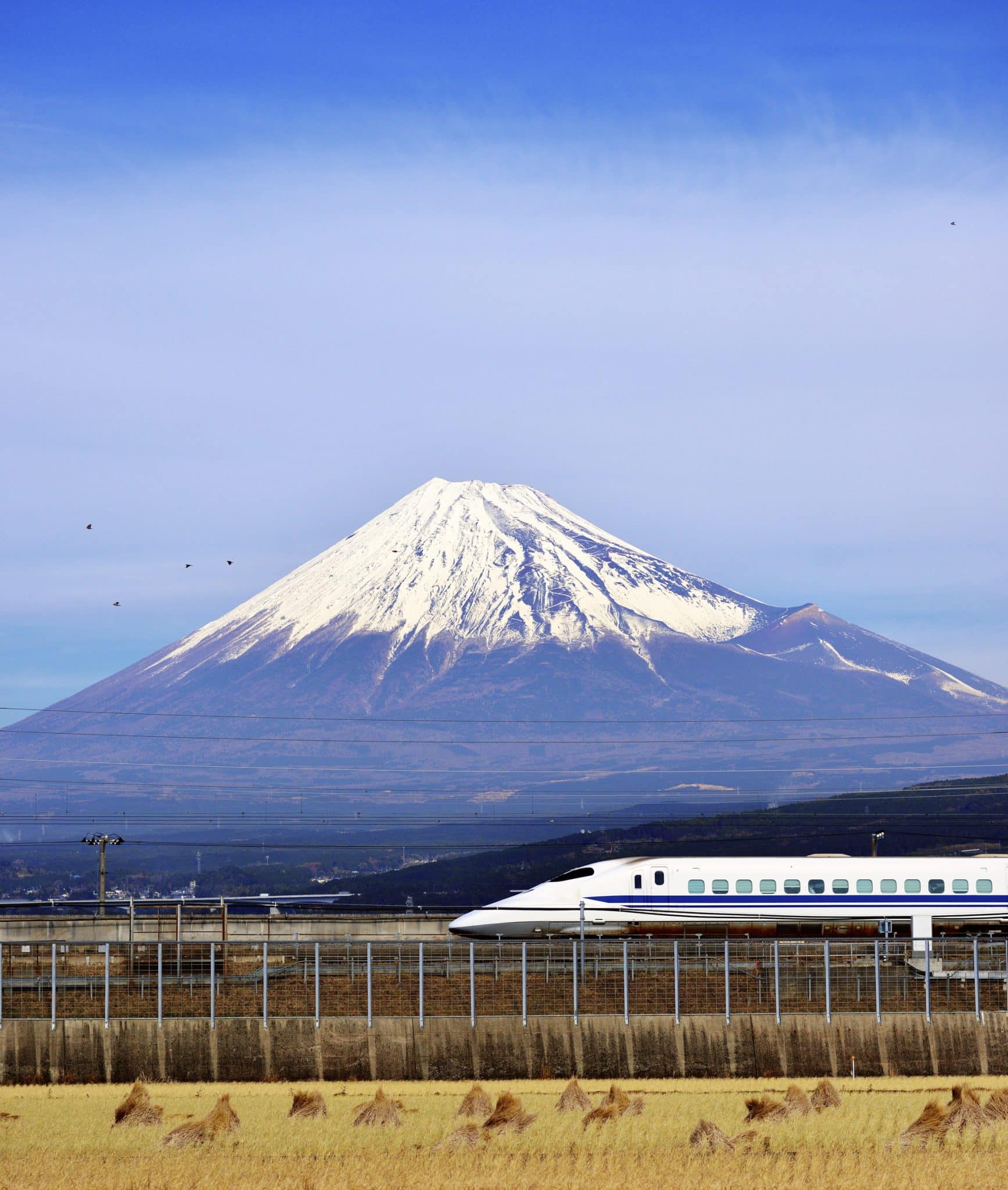 Shinkansen Bullet Train
