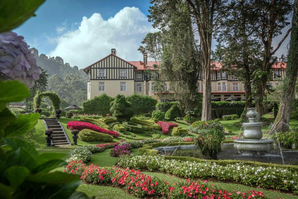 The Grand Hotel 