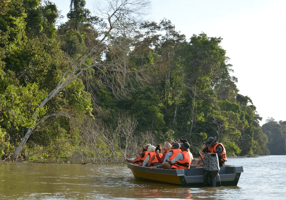 Private boat on Kinabatangan River