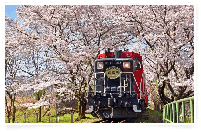 Sagano Forest Railway