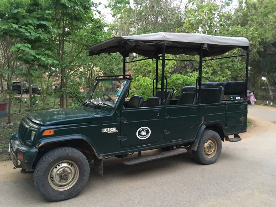 4WD safari