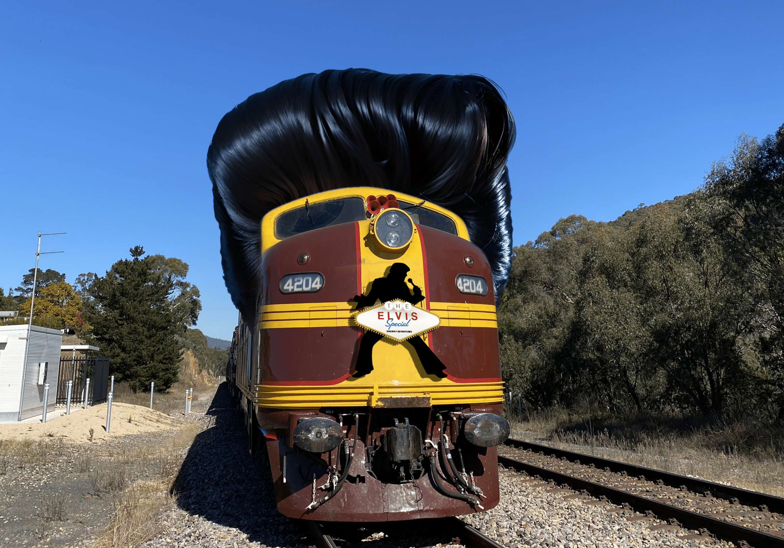 The Elvis Special